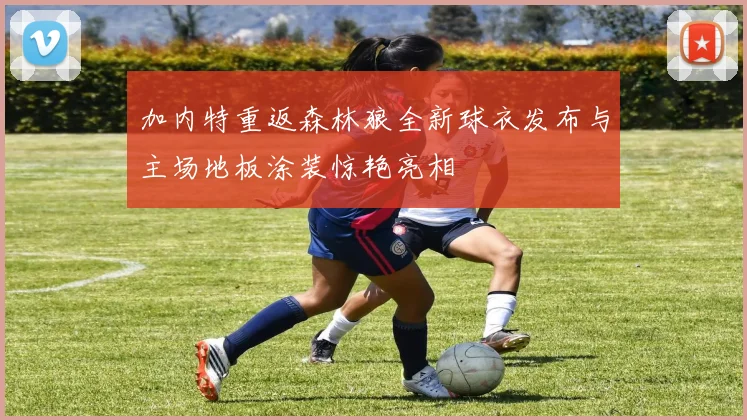 加内特重返森林狼全新球衣发布与主场地板涂装惊艳亮相