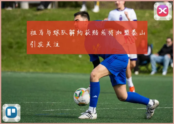祖马与球队解约获赔或将加盟泰山引发关注