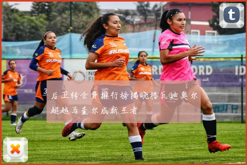 后卫转会费排行榜揭晓格瓦迪奥尔超越马奎尔成新王者
